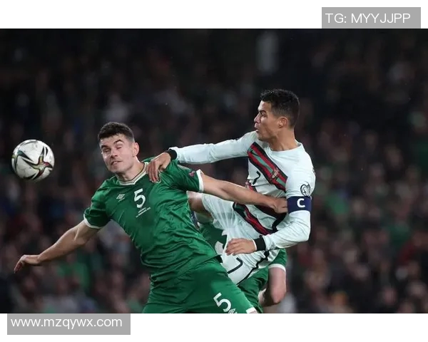 爱尔兰男足球星的绿茵传奇与国家荣耀之路