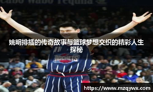 姚明排插的传奇故事与篮球梦想交织的精彩人生探秘
