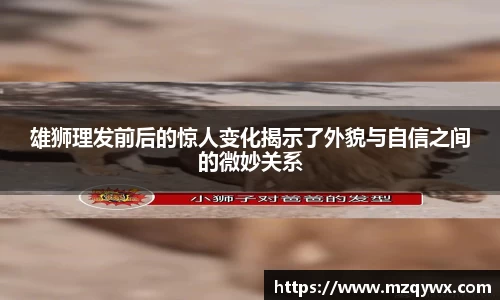 雄狮理发前后的惊人变化揭示了外貌与自信之间的微妙关系